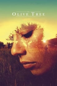 El Olivo (The Olive Tree)