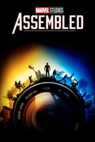 Marvel Studios: Assembled (2021) subtitles - SUBDL poster
