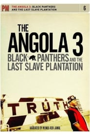The Angola 3: Black Panthers and the Last Slave Plantation (2008) subtitles - SUBDL poster