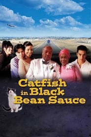 Catfish in Black Bean Sauce (1999) subtitles - SUBDL poster