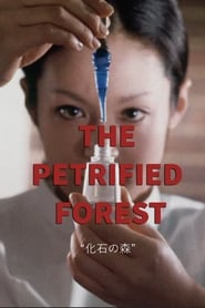 The Petrified Forest (1973) subtitles