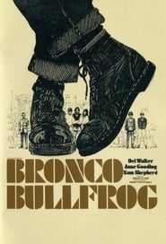 Bronco Bullfrog (1969) subtitles