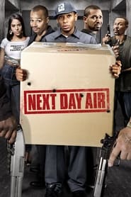 Next Day Air (2009) subtitles - SUBDL poster