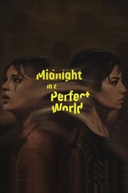 Midnight in a Perfect World (2020) subtitles - SUBDL poster