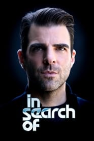 In Search Of (2018) subtitles - SUBDL poster