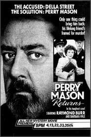 Perry Mason Returns (1985) subtitles - SUBDL poster