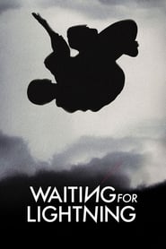 Waiting for Lightning (2012) subtitles