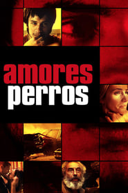 Amores Perros (2000) subtitles - SUBDL poster