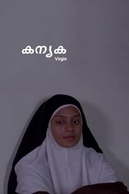 Virgin (2014) subtitles - SUBDL poster