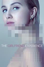 The Girlfriend Experience Farsi_persian  subtitles - SUBDL poster