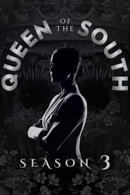 Queen of the South Indonesian  subtitles - SUBDL poster