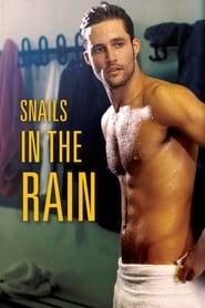Snails in the Rain Farsi_persian  subtitles - SUBDL poster