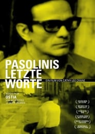 Pasolini's Last Words (2012) subtitles - SUBDL poster