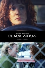 Catching the Black Widow (2017) subtitles - SUBDL poster