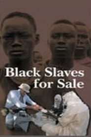 Black Slaves for Sale (2000) subtitles - SUBDL poster