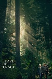 Leave No Trace (2018) subtitles - SUBDL poster