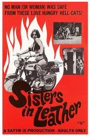 Sisters in Leather (1969) subtitles