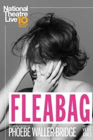 National Theatre Live: Fleabag Turkish  subtitles - SUBDL poster