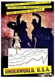 Underworld U.S.A. Spanish  subtitles - SUBDL poster