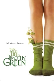 The Odd Life of Timothy Green (2012) subtitles