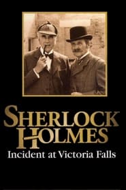 Sherlock Holmes: Incident at Victoria Falls (1992) subtitles