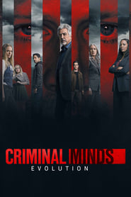 Criminal Minds (2005) subtitles - SUBDL poster