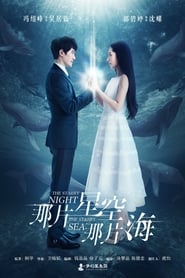 The Starry Night, The Starry Sea (2017) subtitles - SUBDL poster