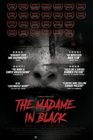 The Madame in Black (2017) subtitles - SUBDL poster