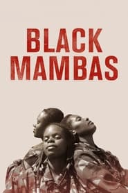 Black Mambas English  subtitles - SUBDL poster