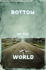Bottom of the World (2017) subtitles - SUBDL poster