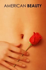 American Beauty (1999) subtitles - SUBDL poster