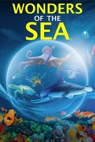 Wonders of the Sea 3D (2017) subtitles