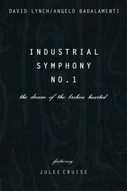 Industrial Symphony No. 1: The Dream of the Brokenhearted (1990) subtitles - SUBDL poster