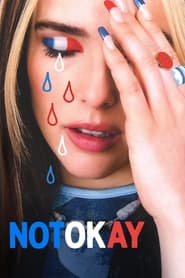 Not Okay (2022) subtitles - SUBDL poster