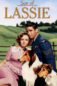 Son of Lassie (1945) subtitles