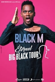 Black M - Eternel Big Black Tour (2018) subtitles - SUBDL poster