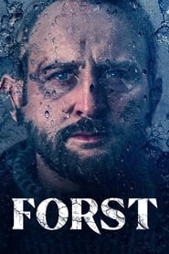 Detective Forst (2024) subtitles - SUBDL poster