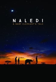 Naledi: A Baby Elephant's Tale Turkish  subtitles - SUBDL poster