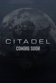 Citadel Portuguese  subtitles - SUBDL poster