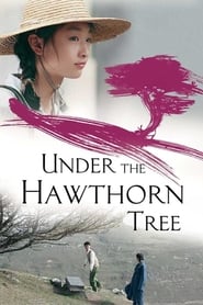 Under the Hawthorn Tree (Shan zha shu zhi lian) Russian  subtitles - SUBDL poster