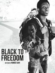Black to Freedom (2017) subtitles - SUBDL poster