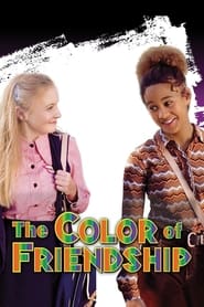 The Color of Friendship Swedish  subtitles - SUBDL poster