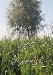 Little Forest (Liteul Poleseuteu / 리틀 포레스트) Italian  subtitles - SUBDL poster