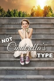 Not Cinderella's Type (2018) subtitles