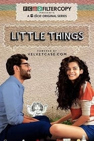 Little Things Netflix