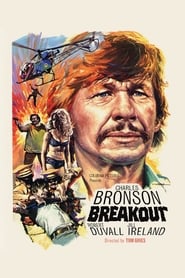 Breakout Spanish  subtitles - SUBDL poster