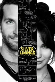 Silver Linings Playbook (2012) subtitles