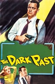 The Dark Past English  subtitles - SUBDL poster
