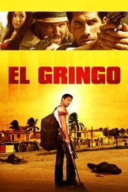 El Gringo Italian  subtitles - SUBDL poster