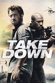 Billionaire Ransom (Take Down) Spanish  subtitles - SUBDL poster